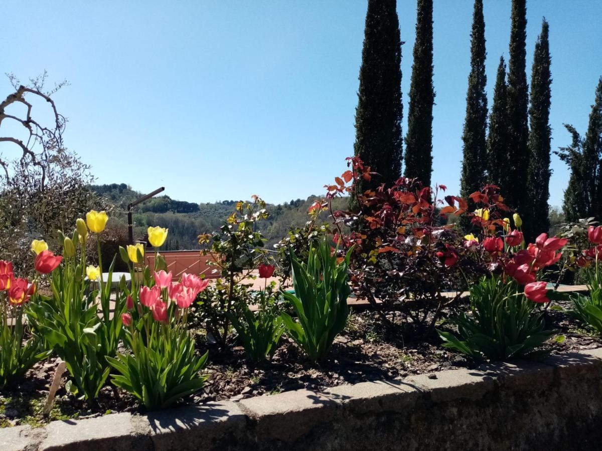 Gervasella Villa Pontedera Kültér fotó